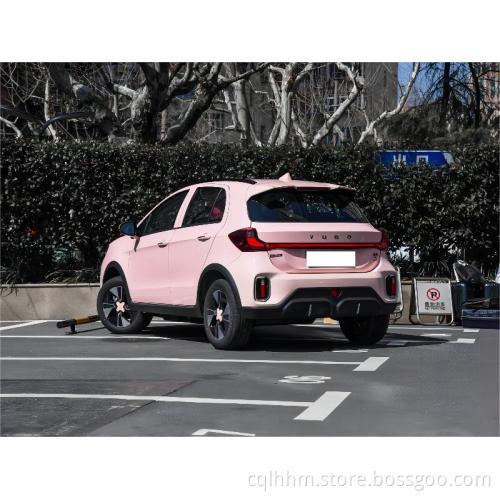 Udo Cloud Rabbit Поднимите внедорожник для взрослых EEC Carros Tuk Tuk Adultos Electric автомобиль